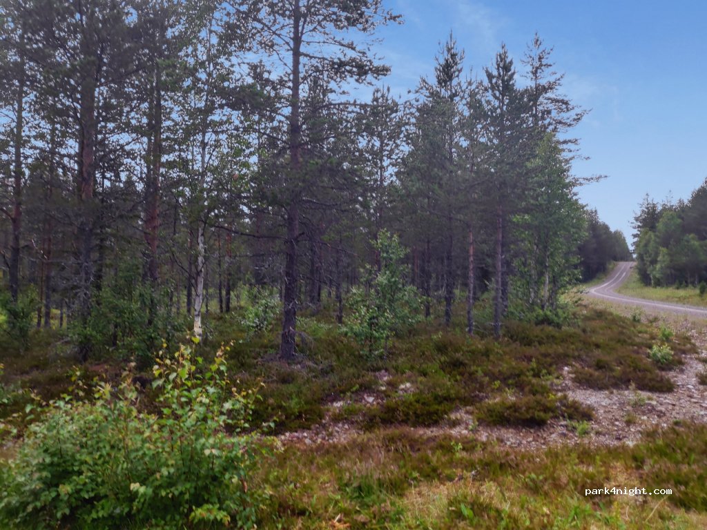 (790 90)  - Unnamed Road — foto 2