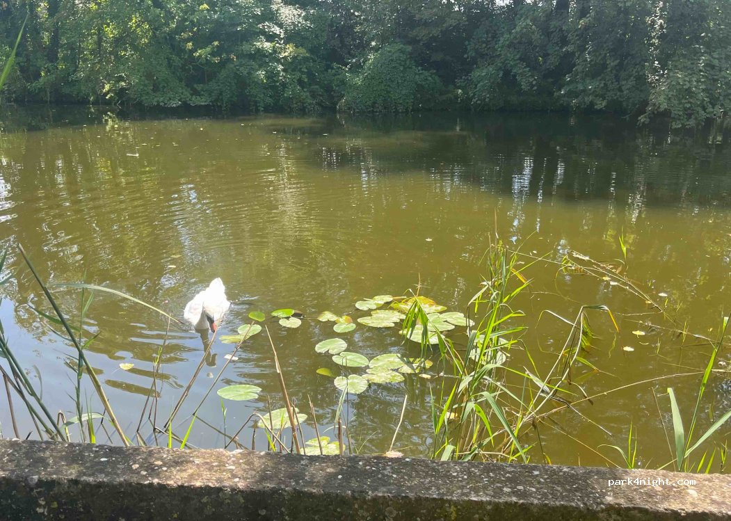 (57950) Montigny-lès-Metz - 18 Impasse des Bras Morts — foto 3