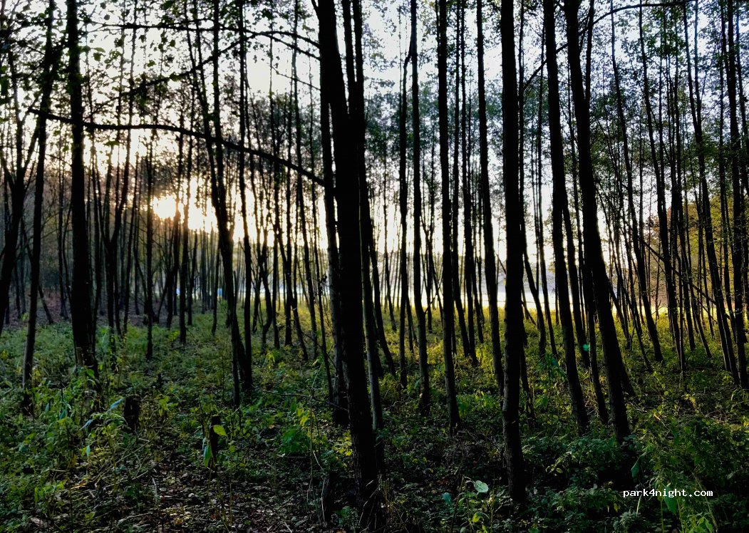 (27419) Groß Meckelsen - 1 Volkenser Weg — foto 3