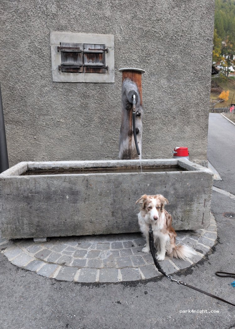 (3929) Täsch - 7 Oberdorf — foto
