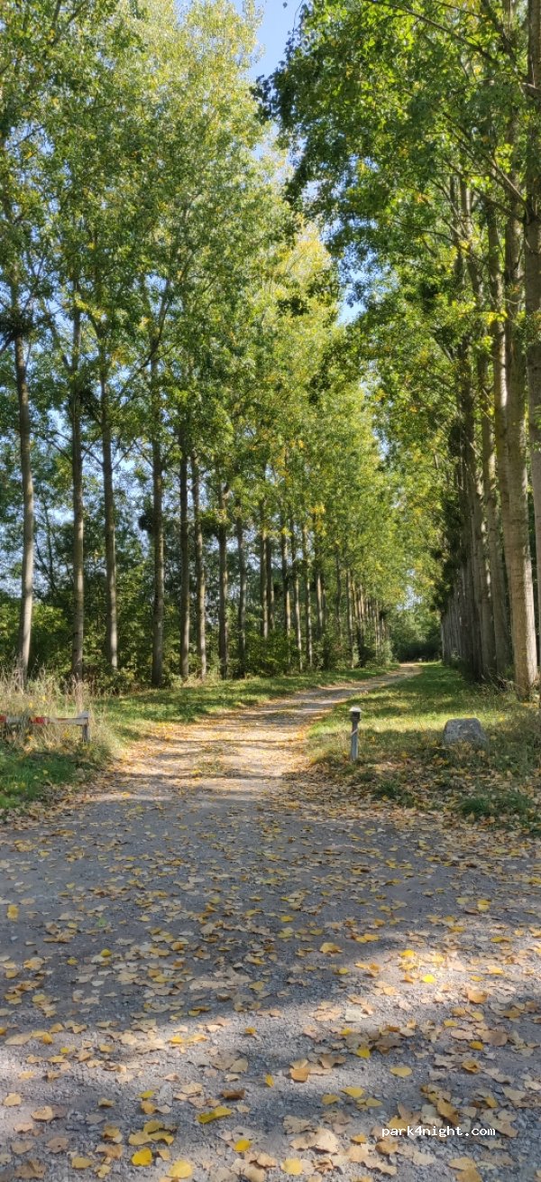 (49530) Orée-d'Anjou - Unnamed Road — foto 2