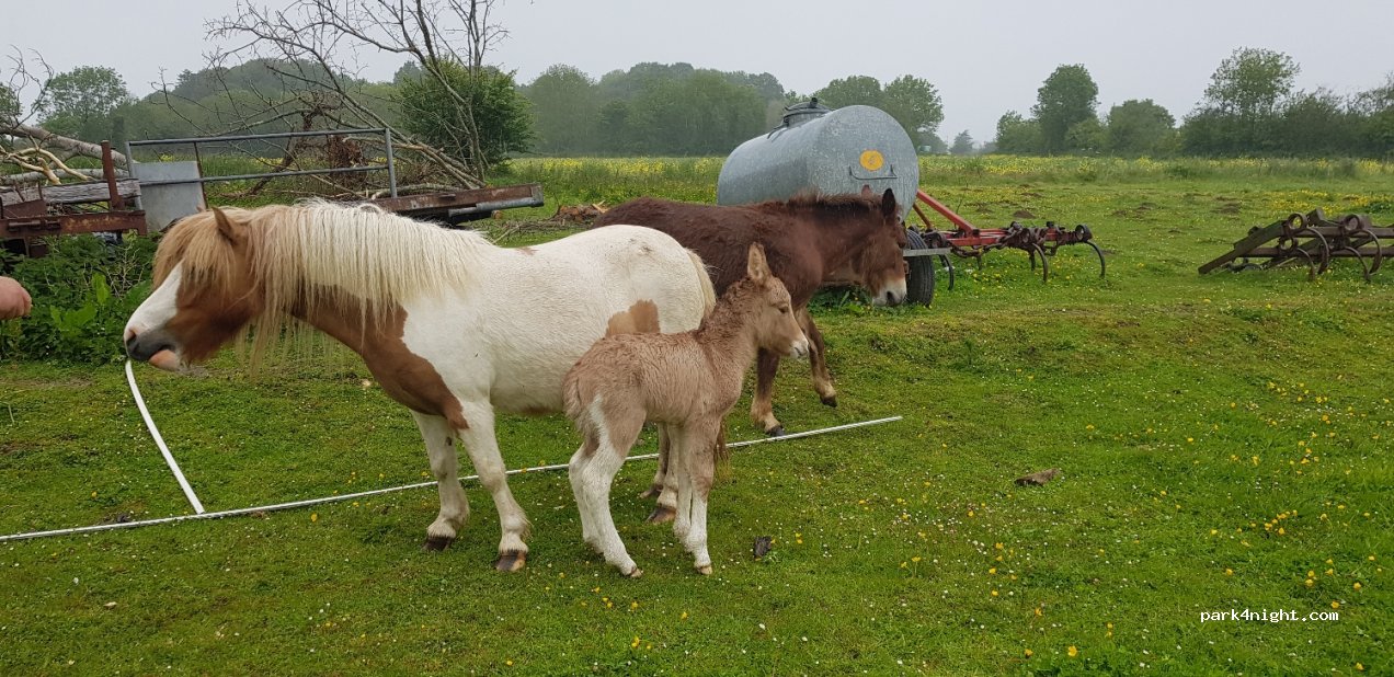 Camping Ker Rolland — foto