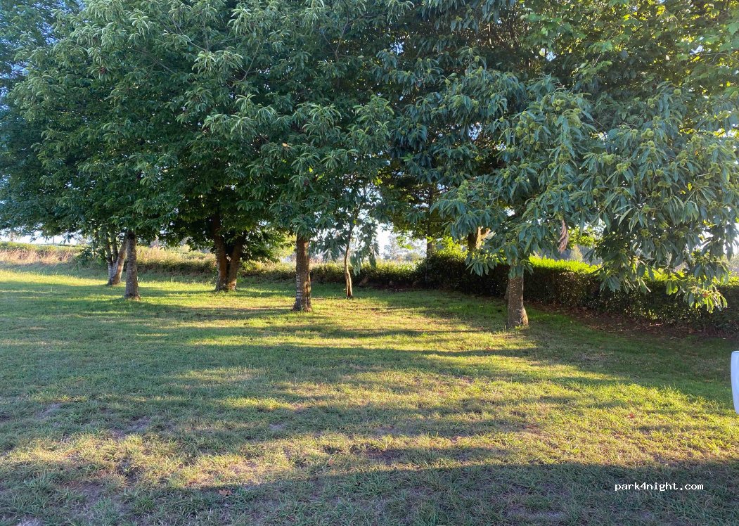 (15145) A Laracha - 20 Santa Margarida — foto