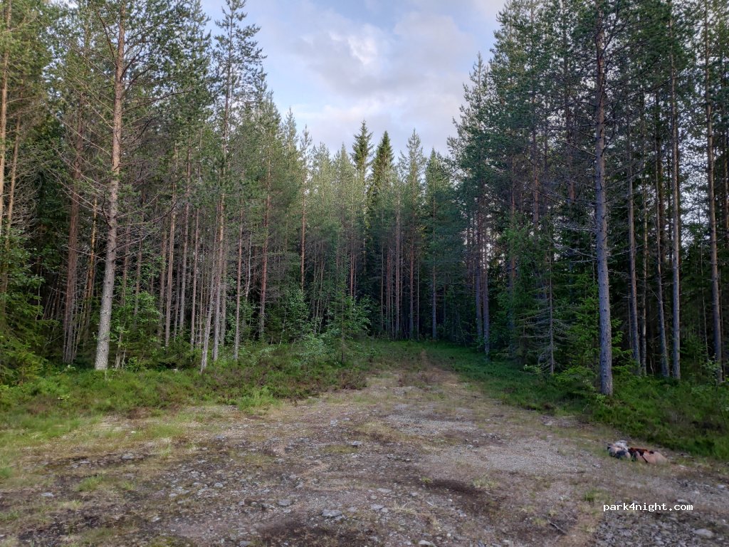 (790 90)  - Unnamed Road — foto