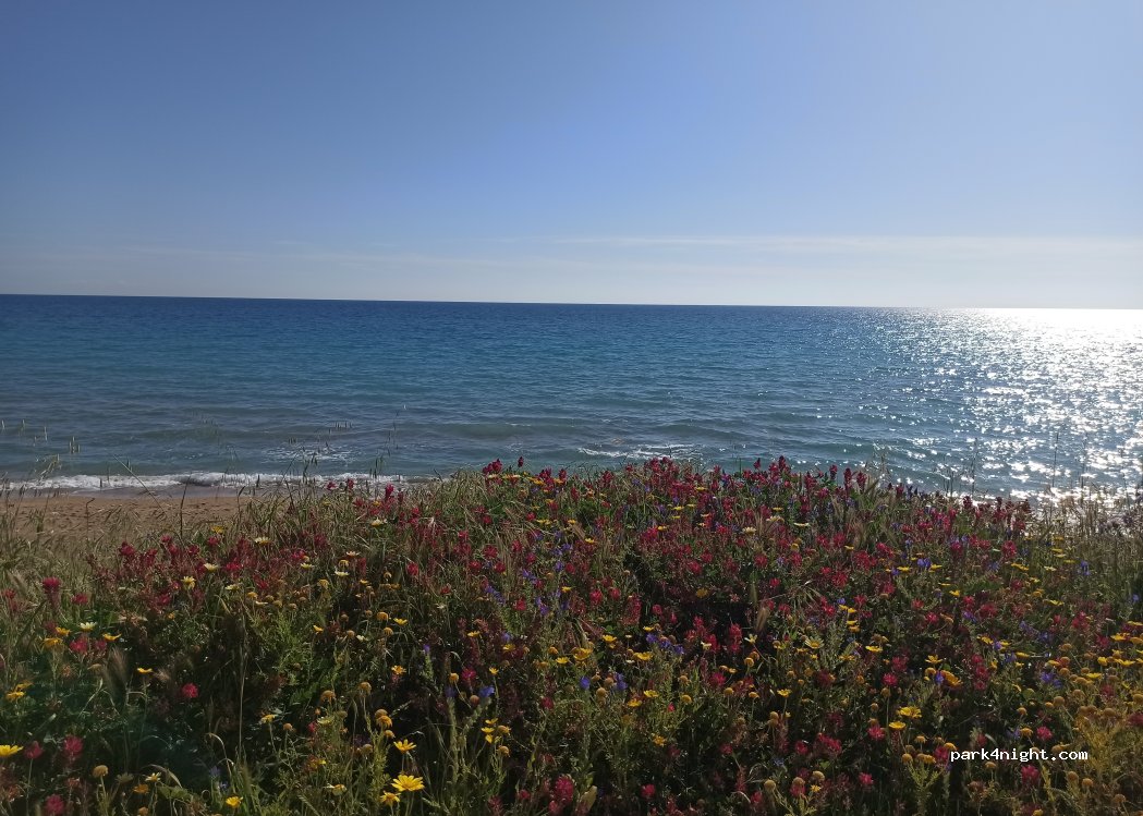 (92019) San Giorgio - Gorgia Leontino — foto 4