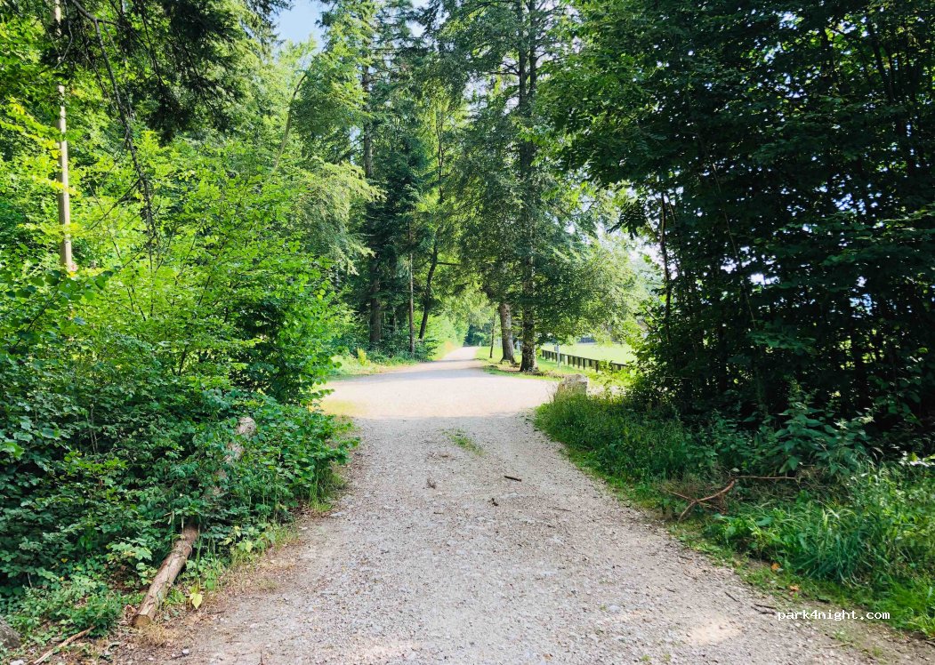 (2056) Dombresson - Unnamed Road — foto 2