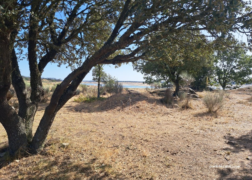 (37176) Almendra - Unnamed Road — foto 2