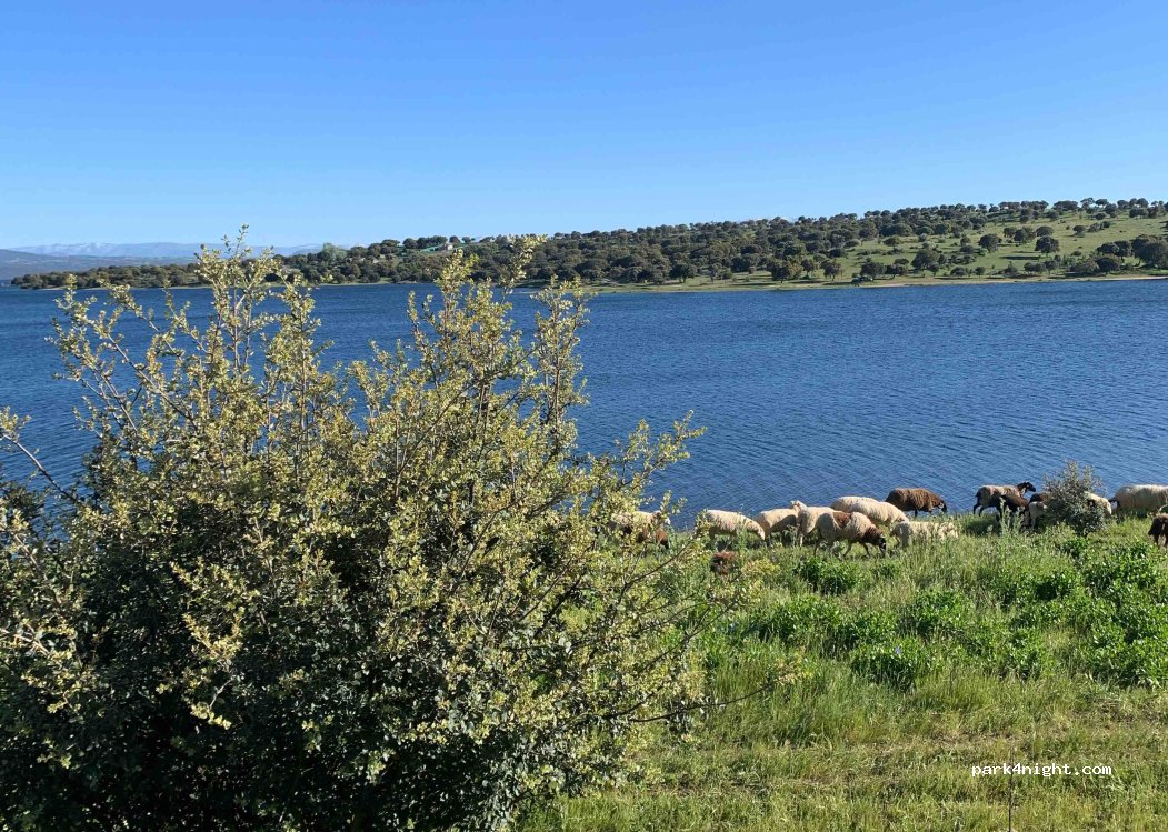 (37770) Guijuelo - 4 SA-104 — foto 4