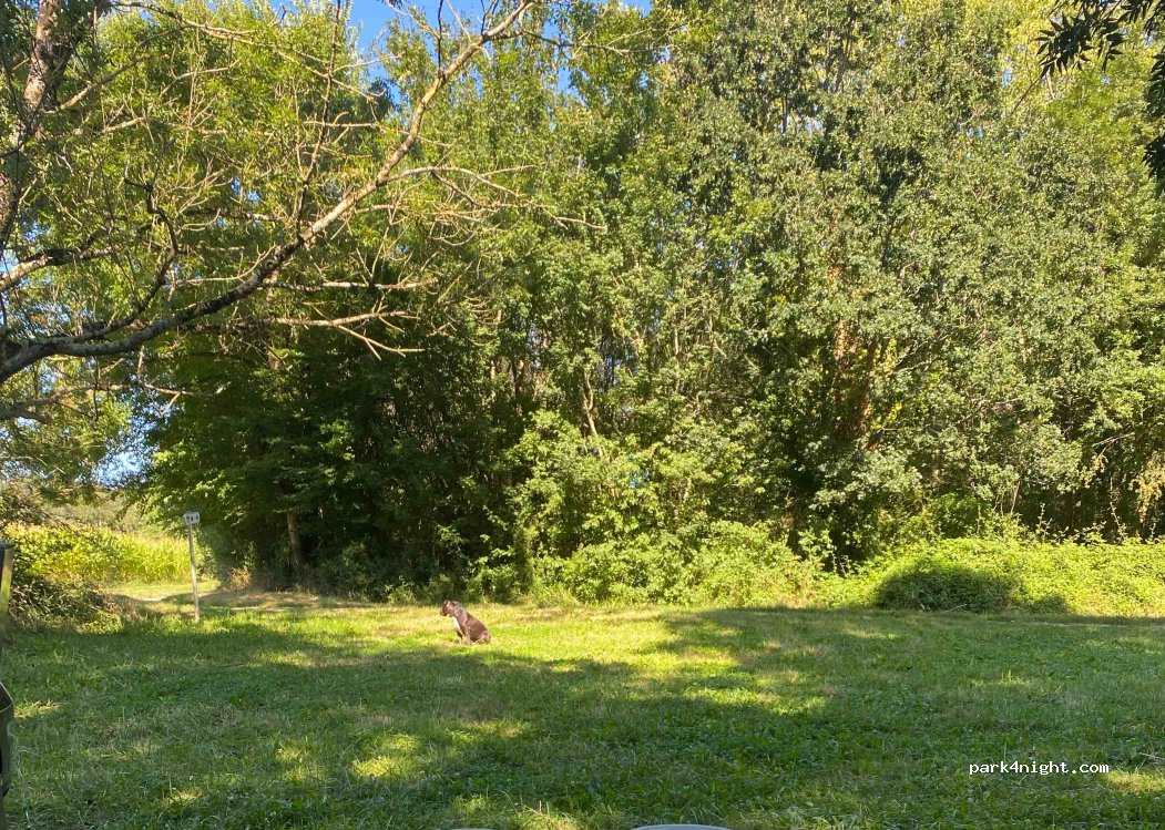 (17620) Saint-Agnant - 64 Rue du Passage d'Arnaise — foto 4