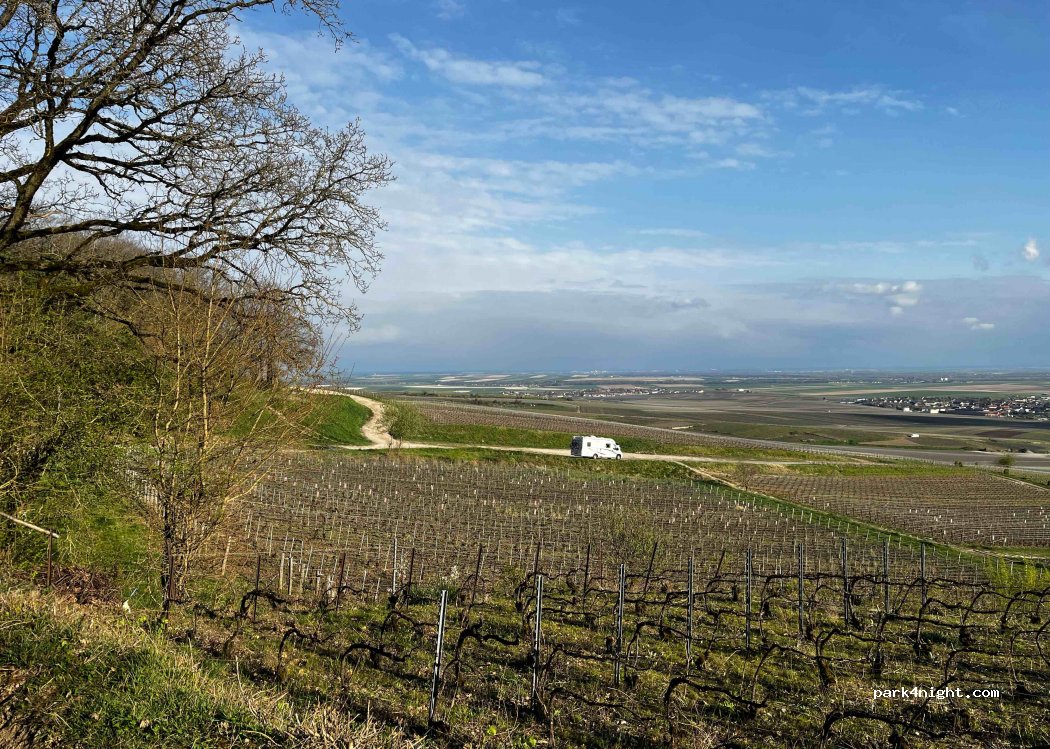 (51150) Bouzy - Unnamed Road — foto 2