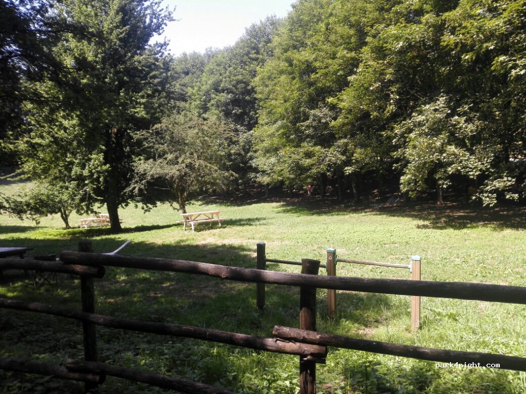 (50032) Borgo San Lorenzo - Strada Provinciale 477 — foto