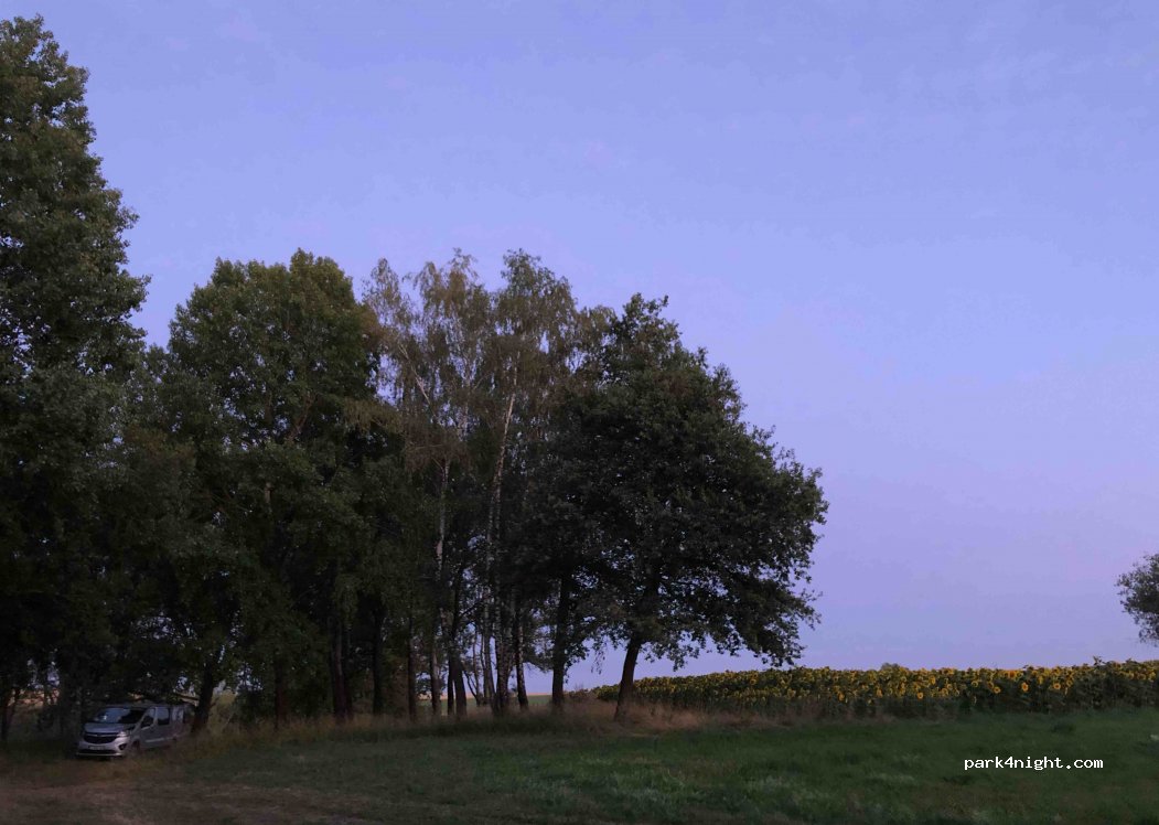 (57810) Réchicourt-le-Château - Unnamed Road — foto