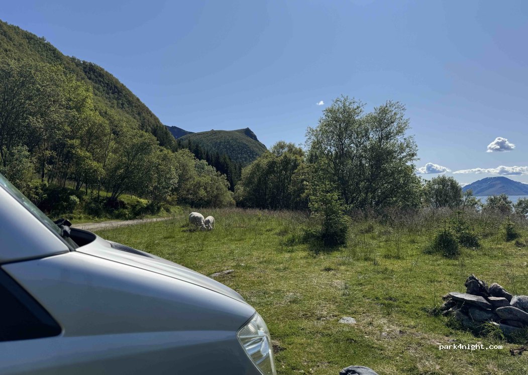 (8484)  - 4 Sekundær Fylkesveg 973 — foto 5