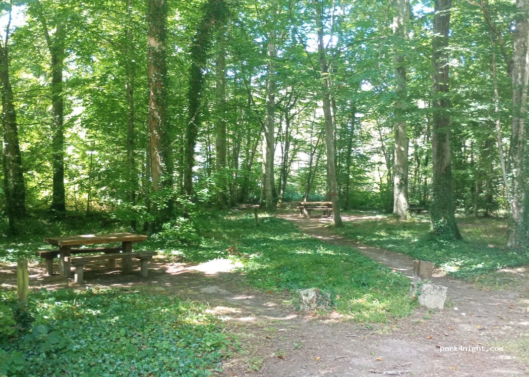 (10140) Mesnil-Saint-Père - Ligne des Comtes Champagne — foto 3