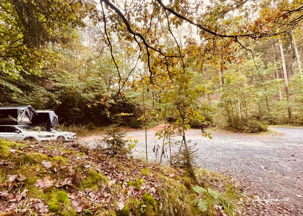 (01814) Reinhardtsdorf-Schöna - Waldbadstraße — foto 4