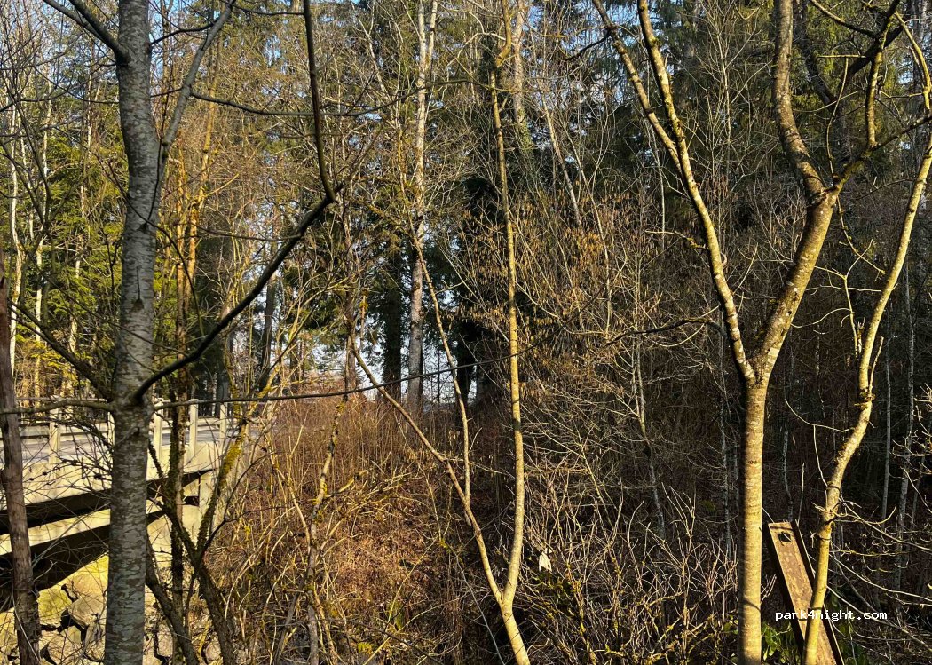 (3629) Kiesen - Professoreistrasse — foto 3