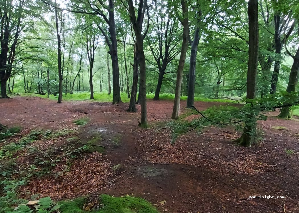 (7322) Bernissart - 24 Chemin d'Orange — foto
