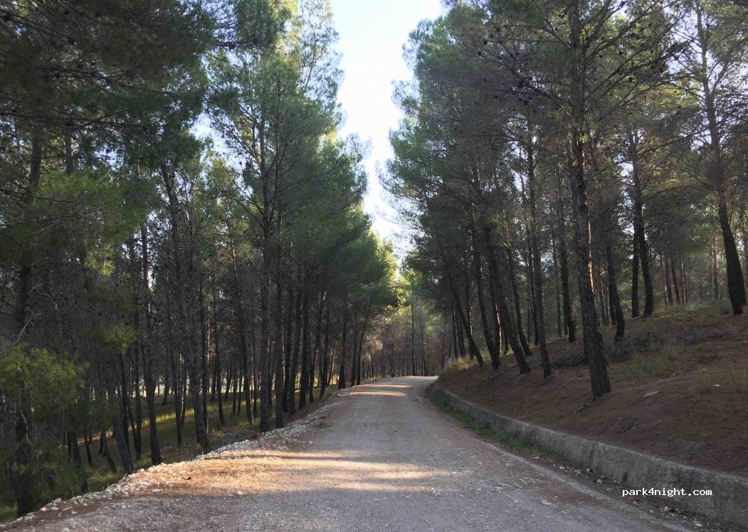 (71035) Fiume Fortore - Unnamed Road — foto 2