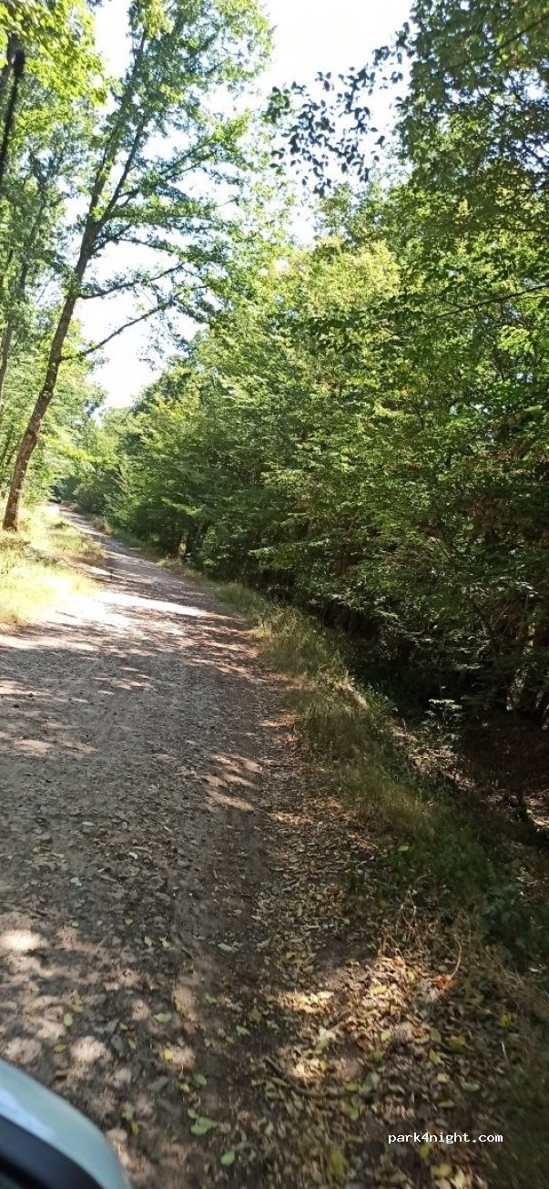 (03360) Saint-Bonnet-Tronçais - Impasse du Vieux Morat — foto