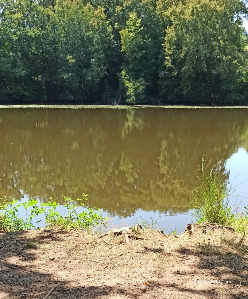 (03360) Saint-Bonnet-Tronçais - Impasse du Vieux Morat — foto 2