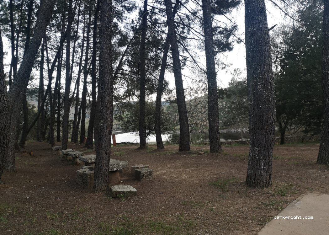 (10649) La Pesga - — foto