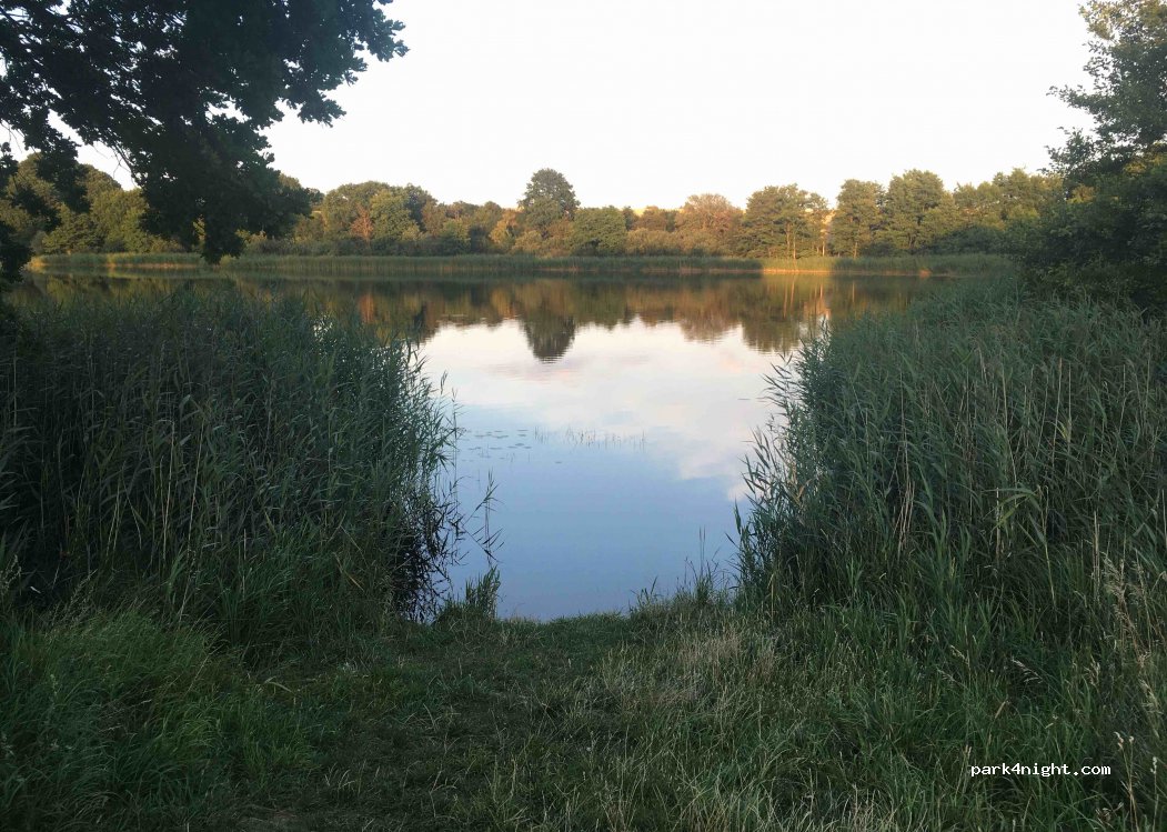 (17153) Ivenack - Unnamed Road — foto 2