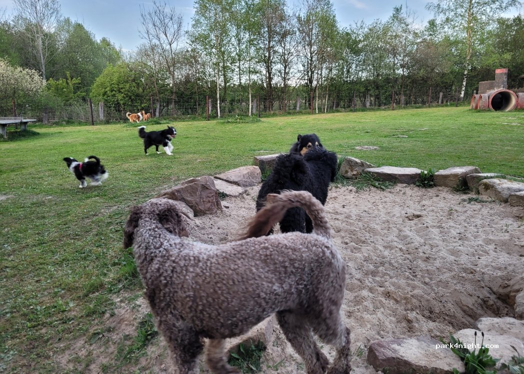 Campingplatz Silberborn — foto 4