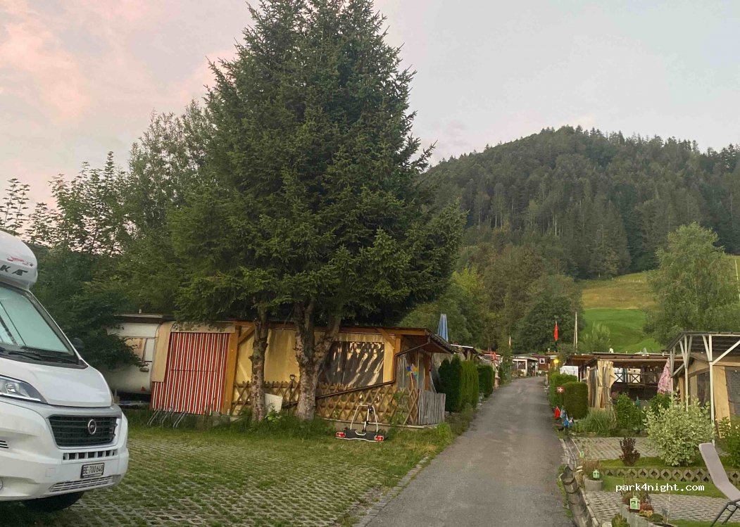 Grüene Aff — foto