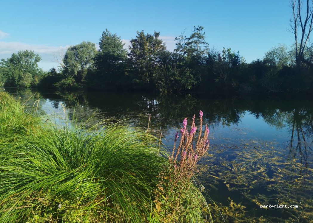 (80340) Frise - 3 Chemin Dompierre — foto 2