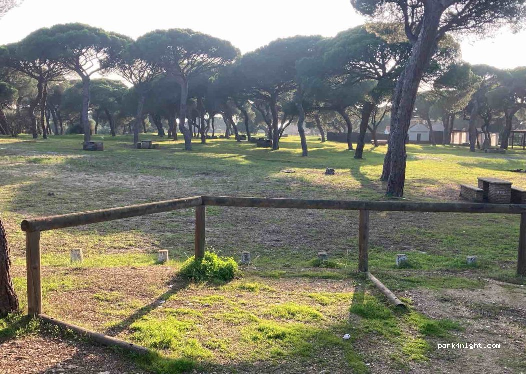 (21800) Moguer - 17 Poblado Forestal de Mazagón — foto 3