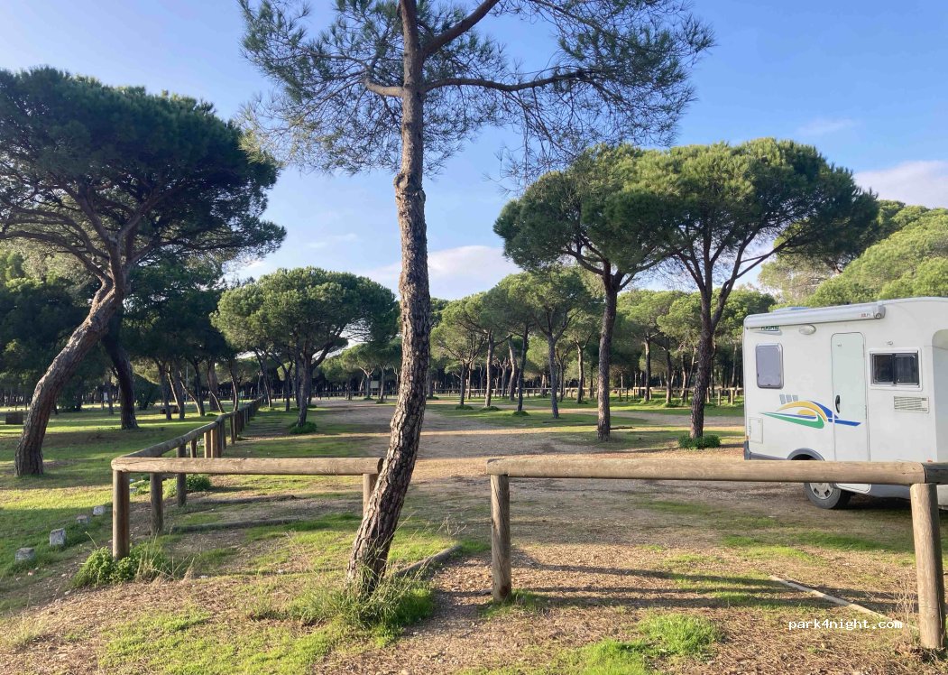 (21800) Moguer - 17 Poblado Forestal de Mazagón — foto 4