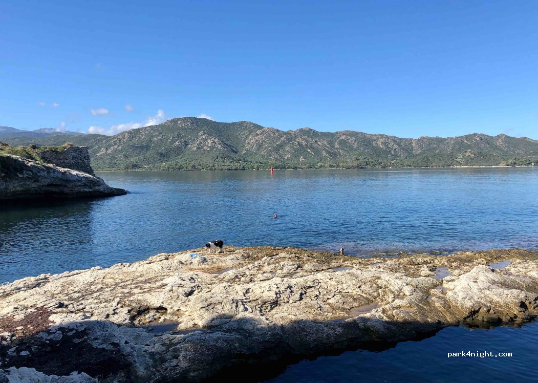 (20217) Saint-Florent - 53 HLM — foto 4