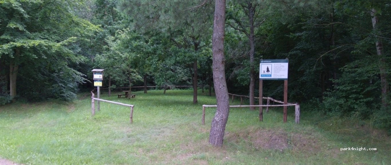 (82-450) Bądze - — foto