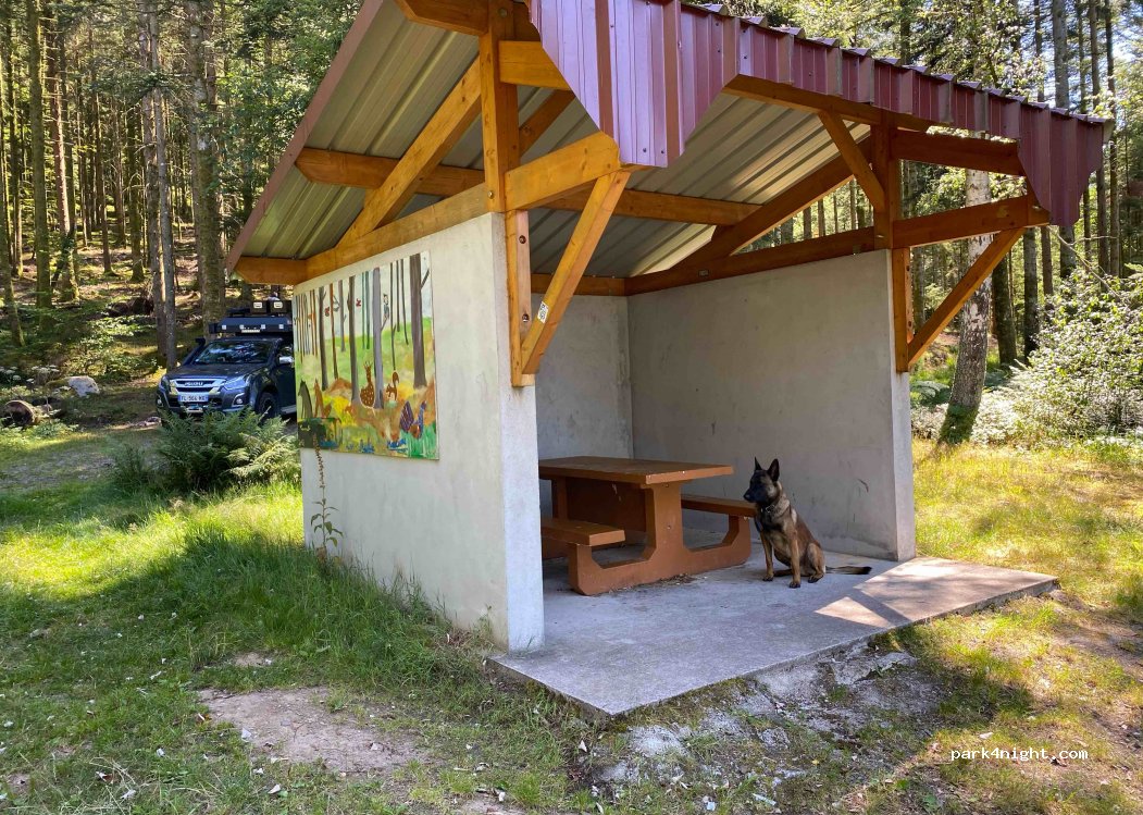 (88200) Dommartin-lès-Remiremont - Unnamed Road — foto 4