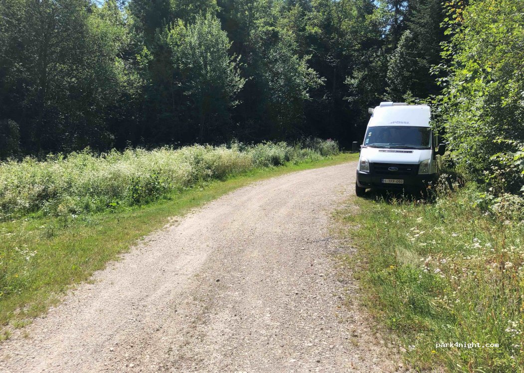 (39260) Moirans-en-Montagne - Route Forestière du Pré du Puits — foto