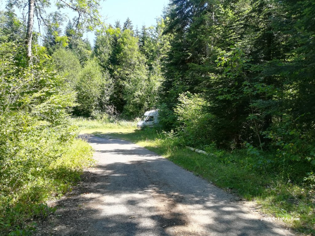 (39260) Moirans-en-Montagne - Route Forestière du Pré du Puits — foto 3