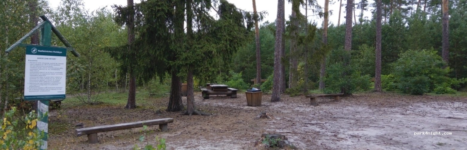 (82-400) Sztumskie Pole - 603 — foto