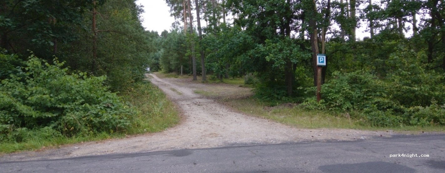 (82-400) Sztumskie Pole - 603 — foto 2