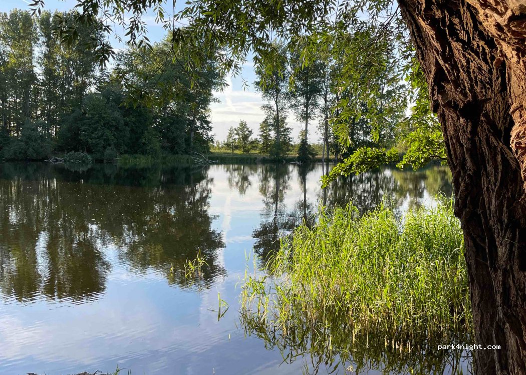 (17391) Neetzow - Kagenow — foto 3
