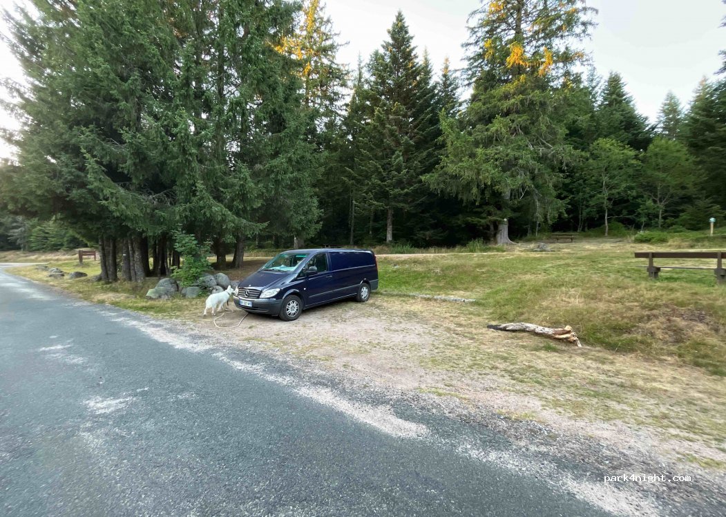 (88400) Xonrupt-Longemer - Route Forestière de Saint-Jacques — foto