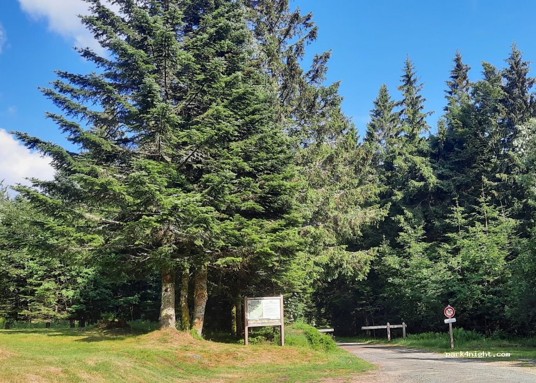(88400) Xonrupt-Longemer - Route Forestière de Saint-Jacques — foto 3