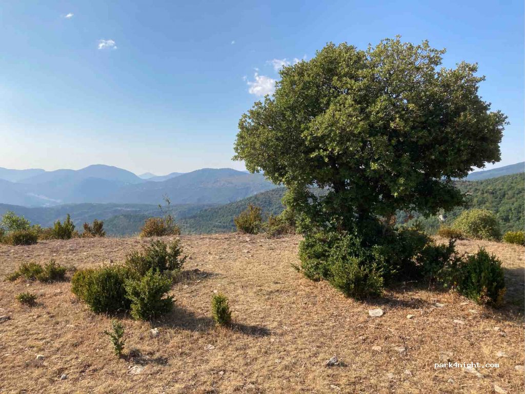 (31438) Aoiz - Unnamed Road — foto 2