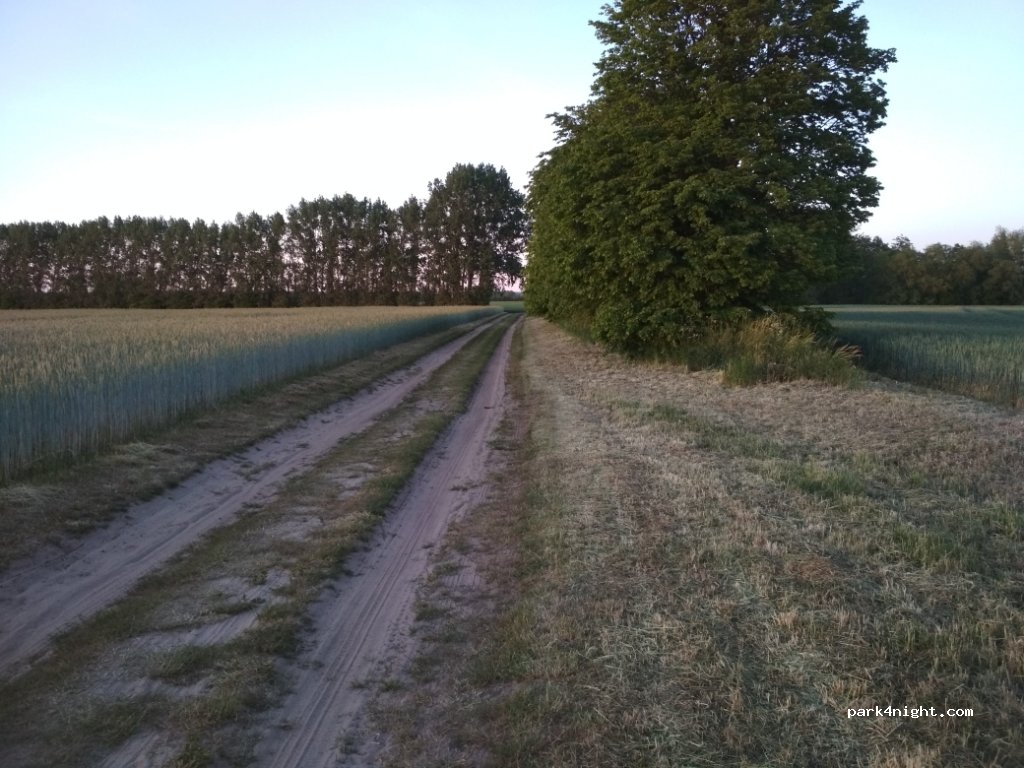 (18233) Am Salzhaff - Unnamed Road — foto 2