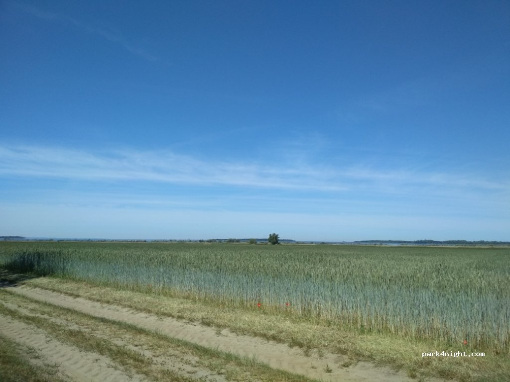 (18233) Am Salzhaff - Unnamed Road — foto 4