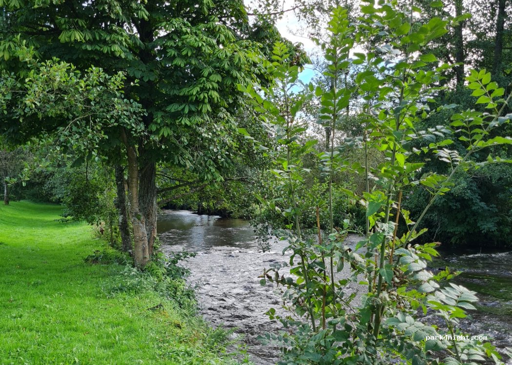 Camping Les Neufs Prés — foto 4