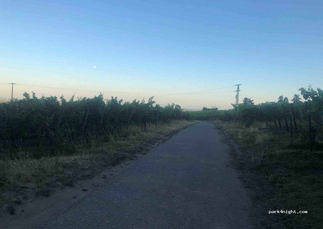 (76835) Burrweiler - 70 Weinstraße — foto