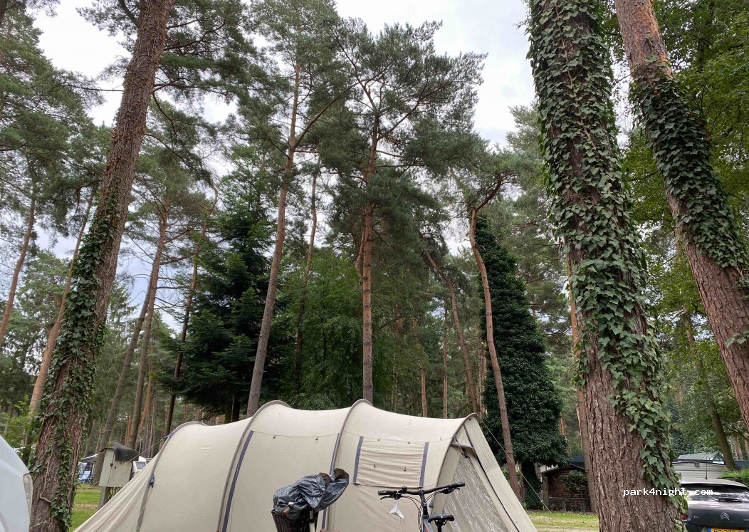 EuroParcs Hoge Kempen — foto 2