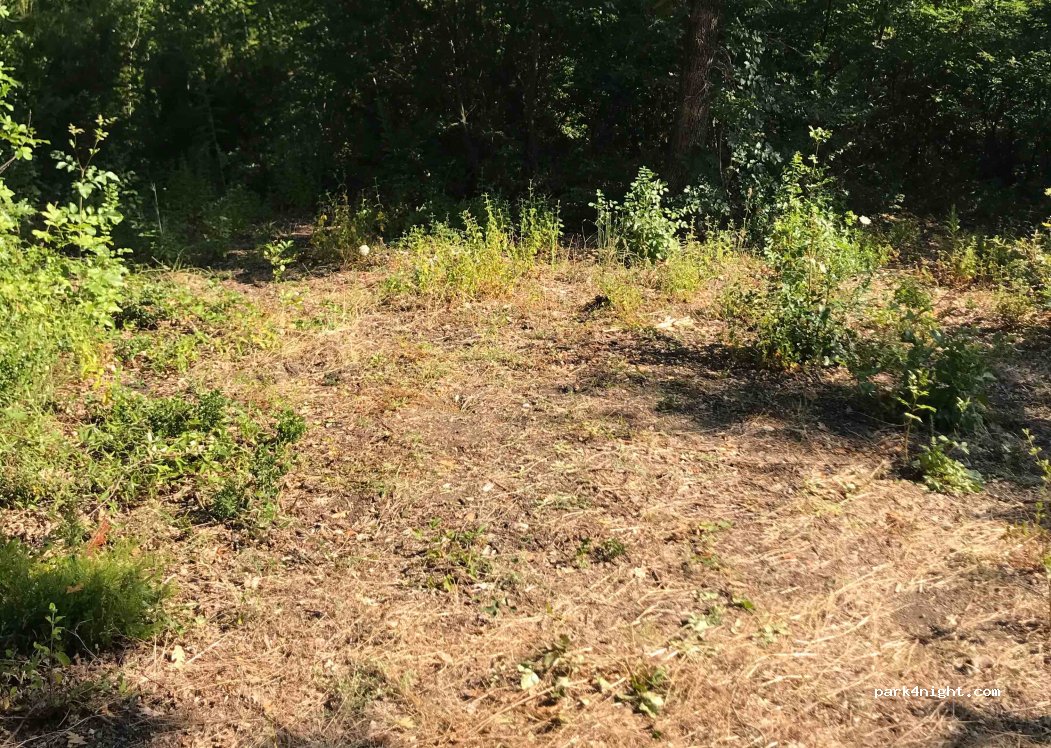 (57020) Bibbona - Unnamed Road — foto
