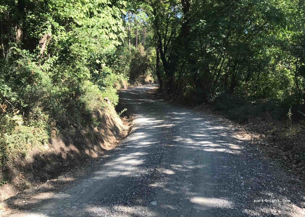 (57020) Bibbona - Unnamed Road — foto 2