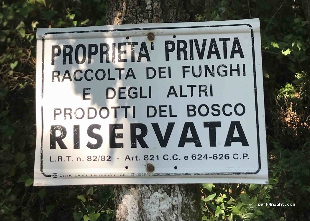 (57020) Bibbona - Unnamed Road — foto 3